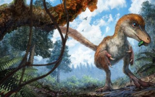 dinosaurs