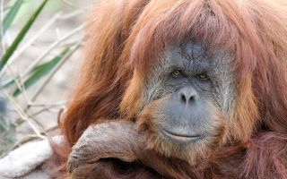 impossible to save Karta