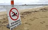 faecal pollution closes some melbourne beaches