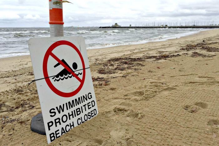 faecal pollution closes some melbourne beaches