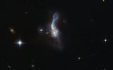 IRAS 14348-1447