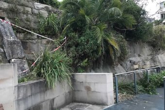 man falls off cliff in Sydney