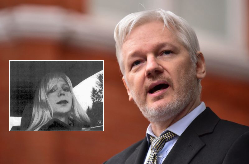 assange-manning