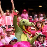 scgcrowdhappy