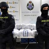 drug arrests