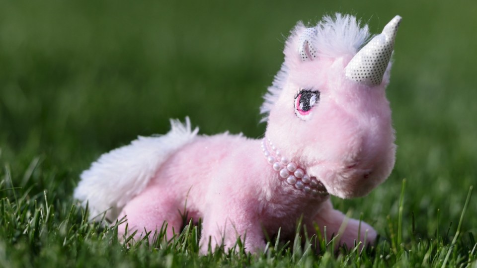 unicorn