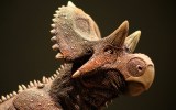 Yehuecauhceratops mudei,