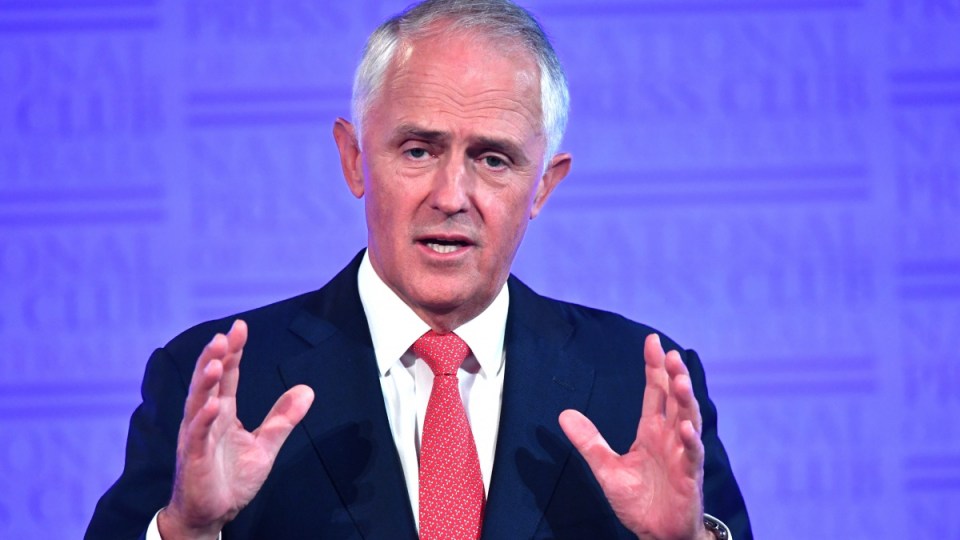turnbull coal