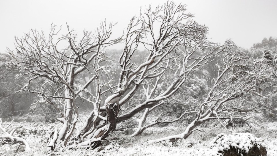 Australia's wild weather