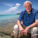 Sir David Attenborough