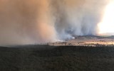 NSW bushfire