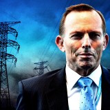 tony abbott electricity