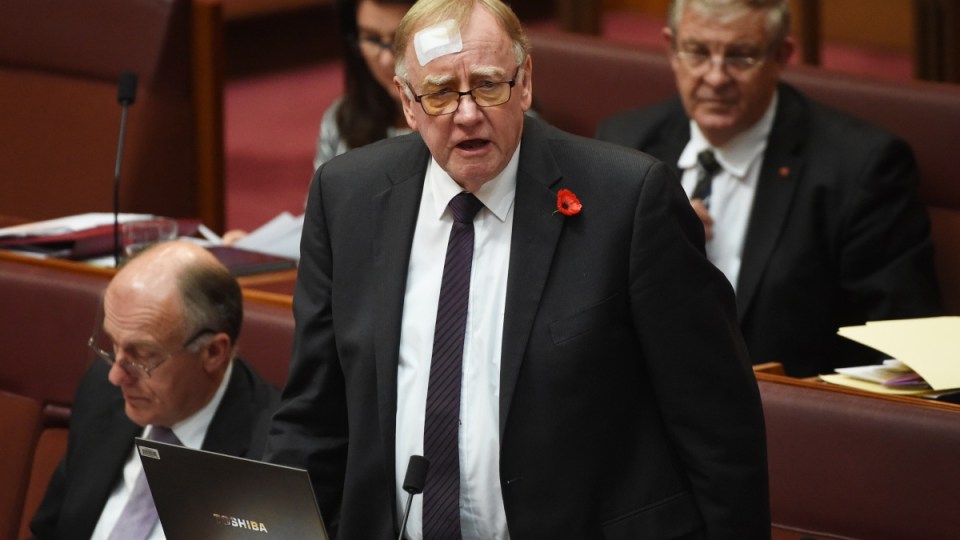 ian macdonald