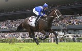 Winx 16