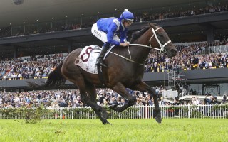 Winx 16