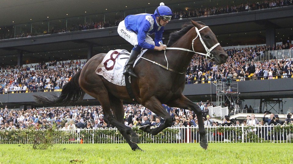 Winx 16