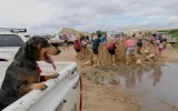 Cyclone Debbie pictures