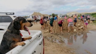 Cyclone Debbie pictures