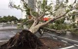 Cyclone Debbie pictures