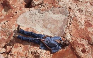 World's biggest dinosaur footprint