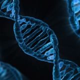 dna discovery