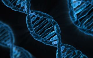 dna discovery