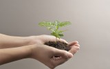 economy growth