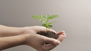 economy growth