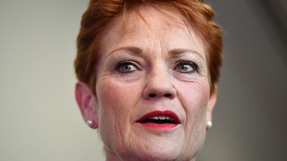 Pauline Hanson donations scandal