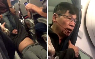 United Airlines CEO