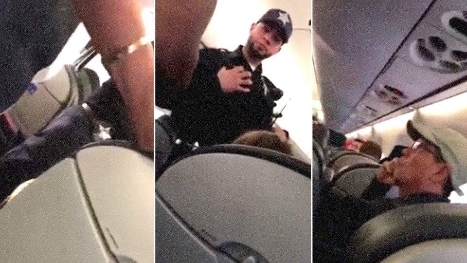 united passenger dr david dao