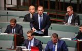 Tony Abbott