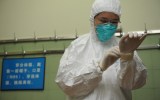 flue shots