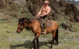 vladimir putin horse