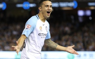Tim Cahill