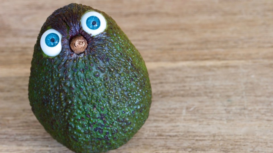 avocado