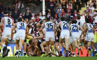 carltonstkildafight