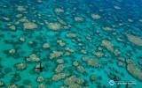 GREAT BARRIER REEF BLEACHING