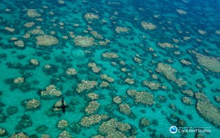 GREAT BARRIER REEF BLEACHING
