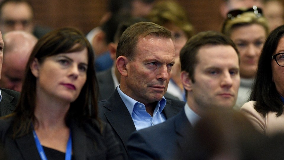 Tony Abbott