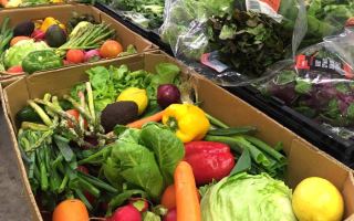 Rescued food