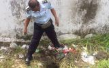 Bali prison escape tunnel