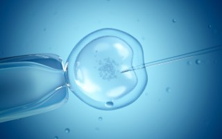IVF victoria covid.