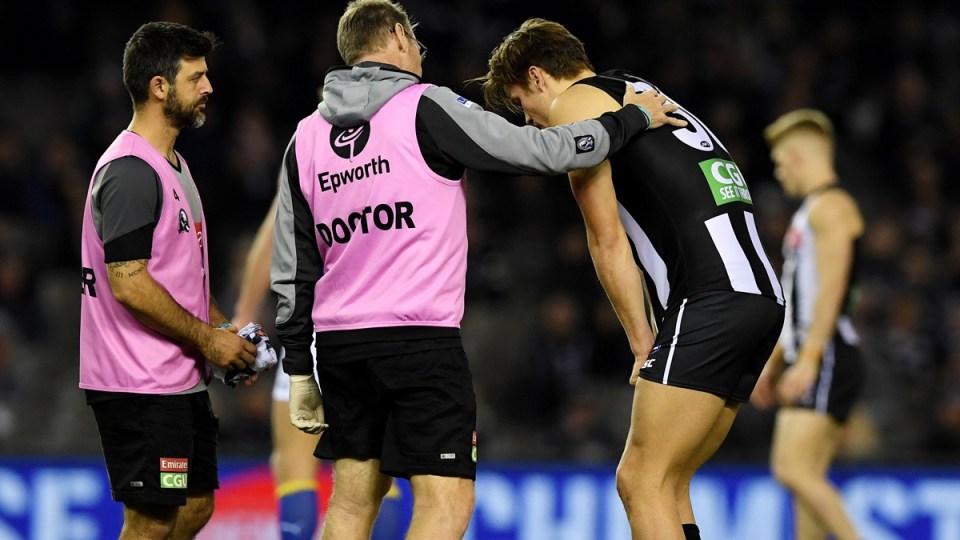 darcymoorecollingwood