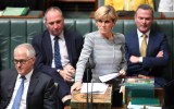 julie bishop