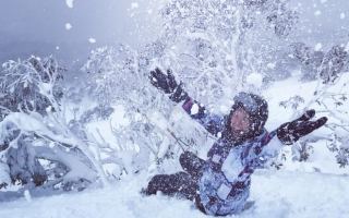 thredbo website crash skiing