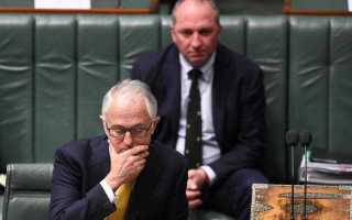 Turnbull government at the edge of the political abyss