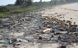 Rubbish Chilli beach