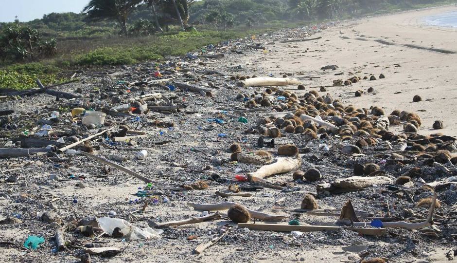 Rubbish Chilli beach