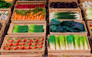 Supermarket satisfaction